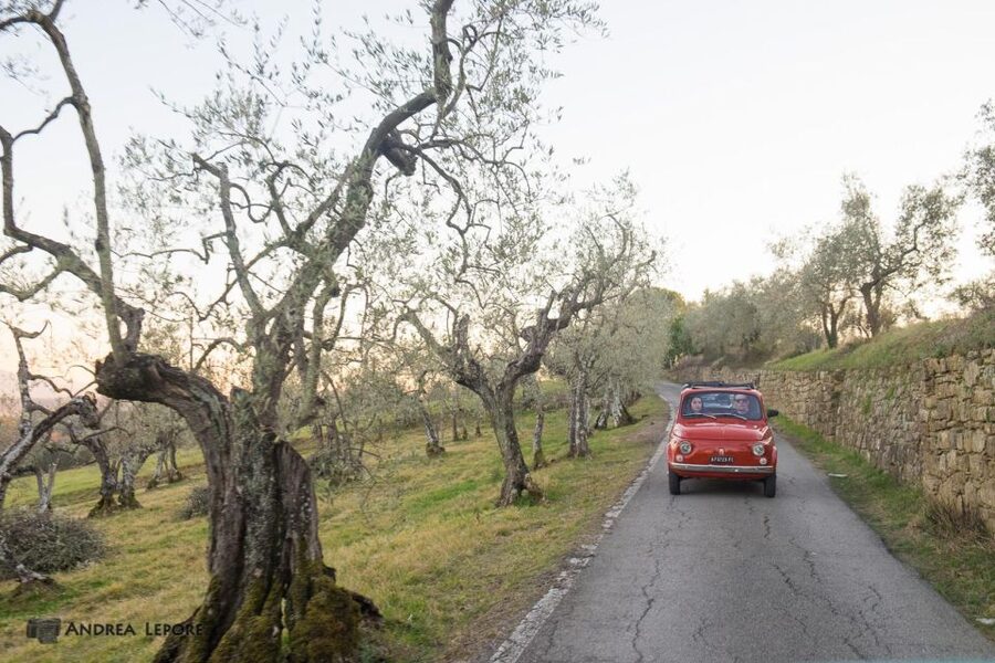 Florence: Private Vintage Fiat500 Countryside & Winery Lunch - What the guide can add