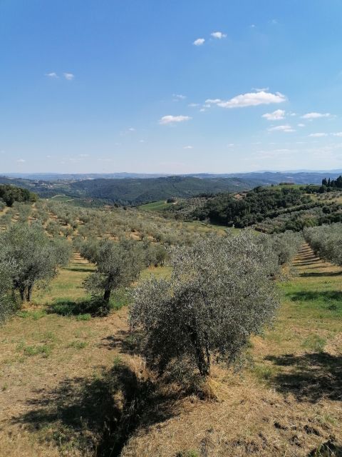 Florence: Private Vintage Fiat500 Countryside & Winery Lunch - Who will enjoy this most?