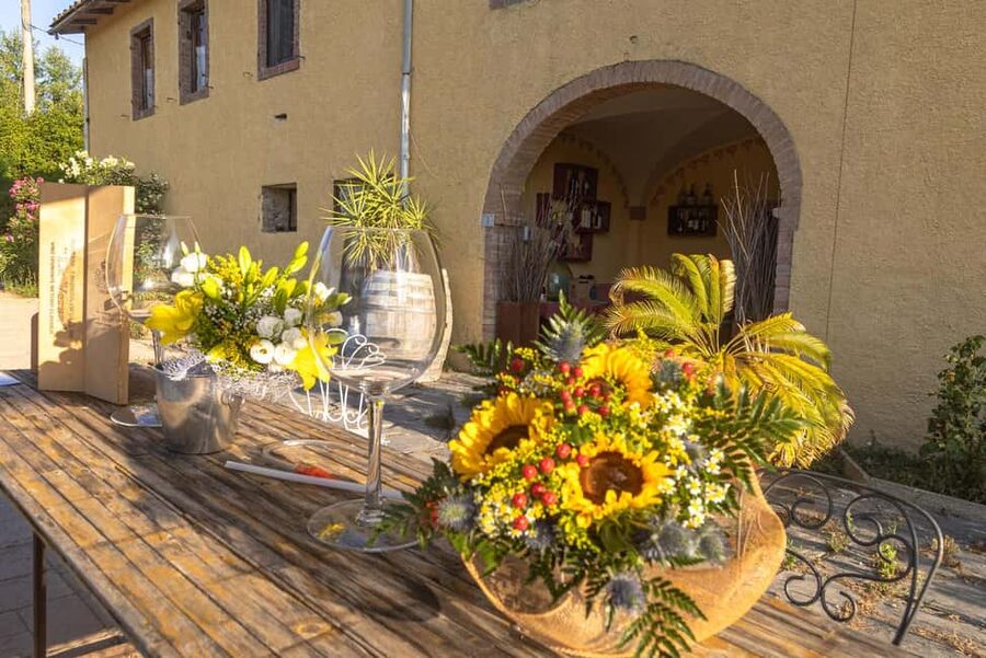 Florence: Secret of Wine and Cheese in a Winery - Vineyard views and a relaxed country setting