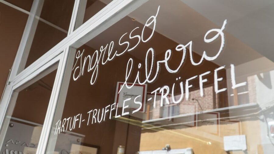 Florence: Truffle Hunting and Vinci with Lunch and Winery - Vinci, where Leonardo began