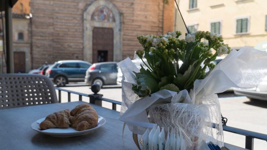 Florence: Truffle Hunting and Vinci with Lunch and Winery - Wine at The Borchi family winery