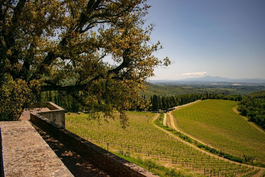 Florence: Tuscany Chianti Winery Private Day-Trip with Lunch - Should you book it?
