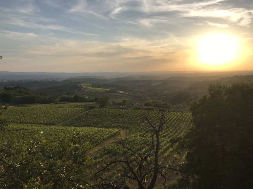 Florence: Tuscany Chianti Winery Private Day-Trip with Lunch - What the six-hour schedule really feels like