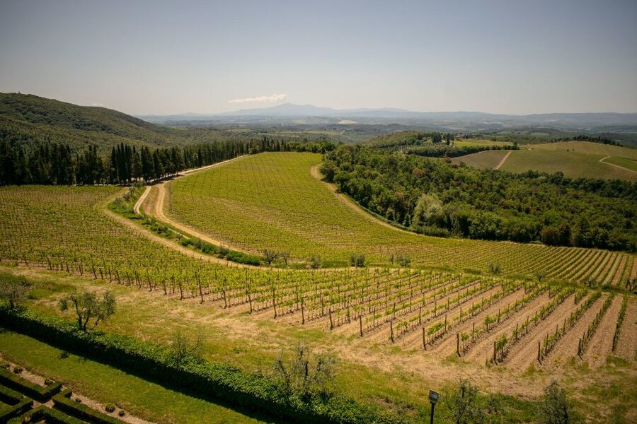 Florence: Tuscany Chianti Winery Private Day-Trip with Lunch - Who will enjoy this Chianti day trip?