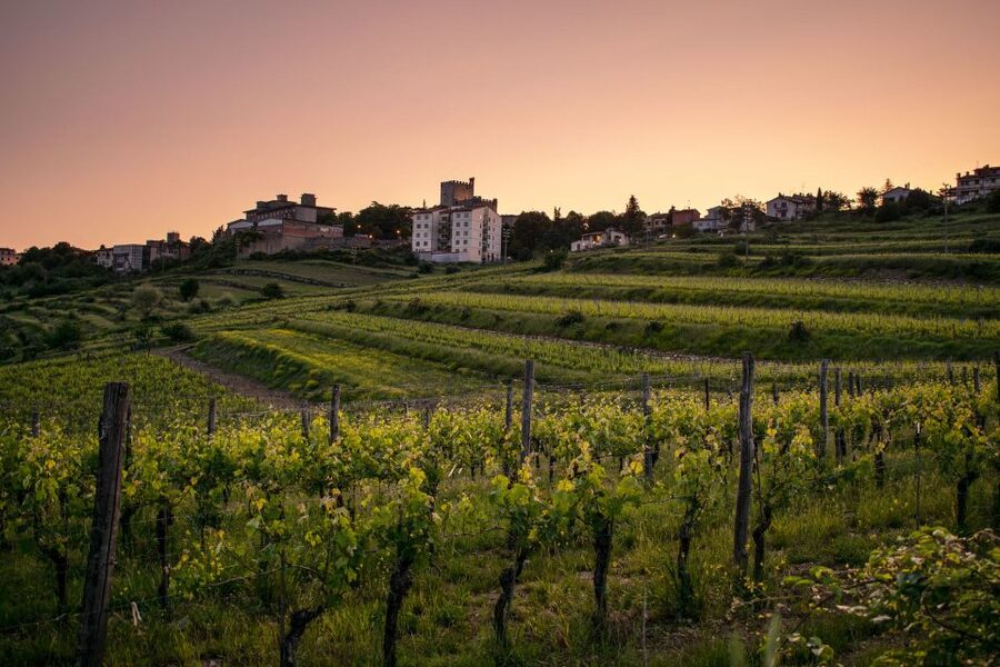 Florence: Tuscany Chianti Winery Private Day-Trip with Lunch - Greve in Chianti, a practical village stop