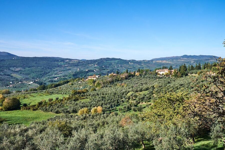Florence: Vintage Fiat 500 Tour with Wine Tasting at Winery - What the strongest guides add