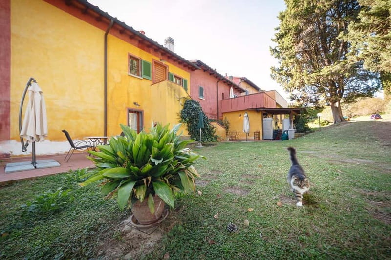 Florence: Wine Tasting at a Vineyard With a Local Winemaker - From Florence to the Tuscan countryside