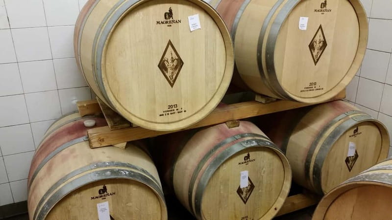 Florence: Wine Tasting at a Vineyard With a Local Winemaker - How much value do you get for $47?