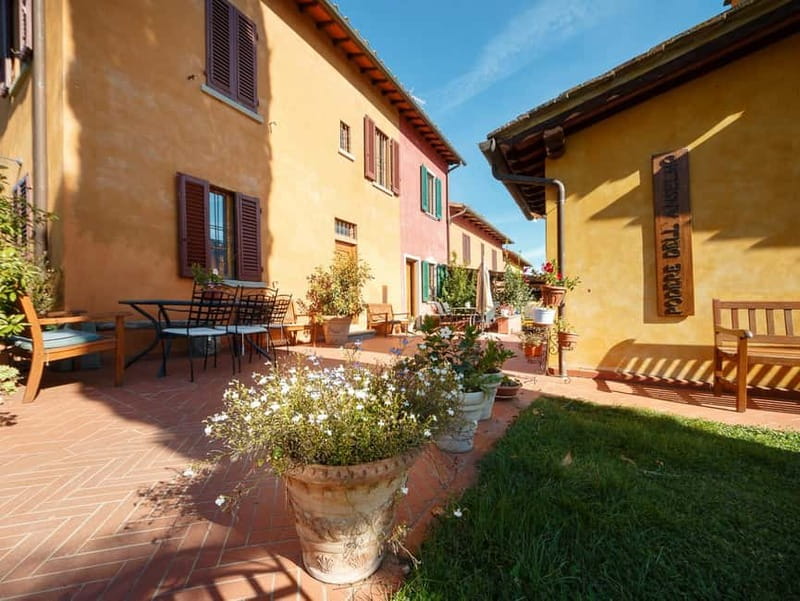 Florence: Wine Tasting at a Vineyard With a Local Winemaker - Walking among the vines