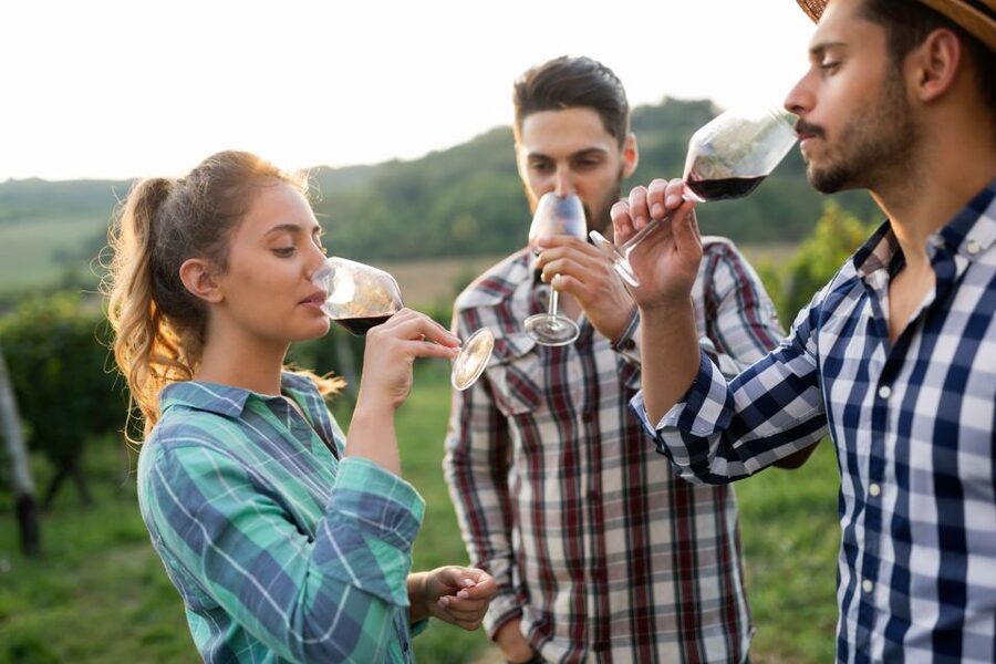 Florence: Wineries, Tastings, Lunch & San Gimignano Day Trip - Who should book this day in Tuscany?