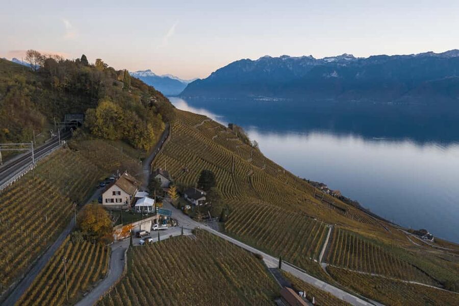 Fondue in the heart of the Lavaux vineyard - What your two hours look like