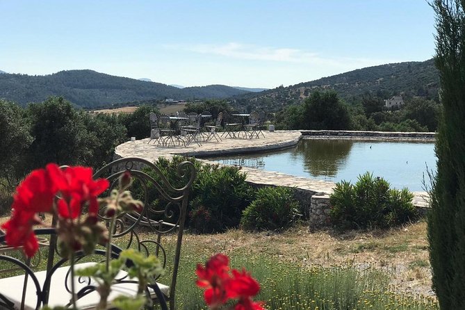 Food and Wine pairing Dinner at Karnas Vineyards Bodrum - The drive from Bodrum to Karaova