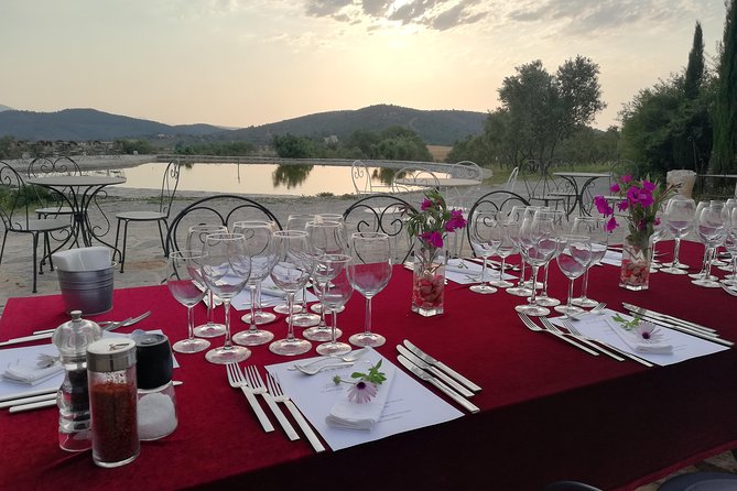 Food and Wine pairing Dinner at Karnas Vineyards Bodrum - A welcome glass of Rose Zinfandel