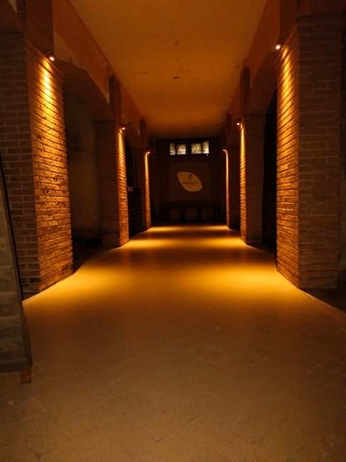 Franciacorta: visit the vineyard, cellar, and enjoy an Edea To tasting - Why this Mirabella visit is different