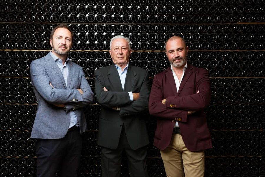 Franciacorta: visit the vineyard, cellar, and enjoy an Edea To tasting - Walking through the Pinot Blanc collection vineyard