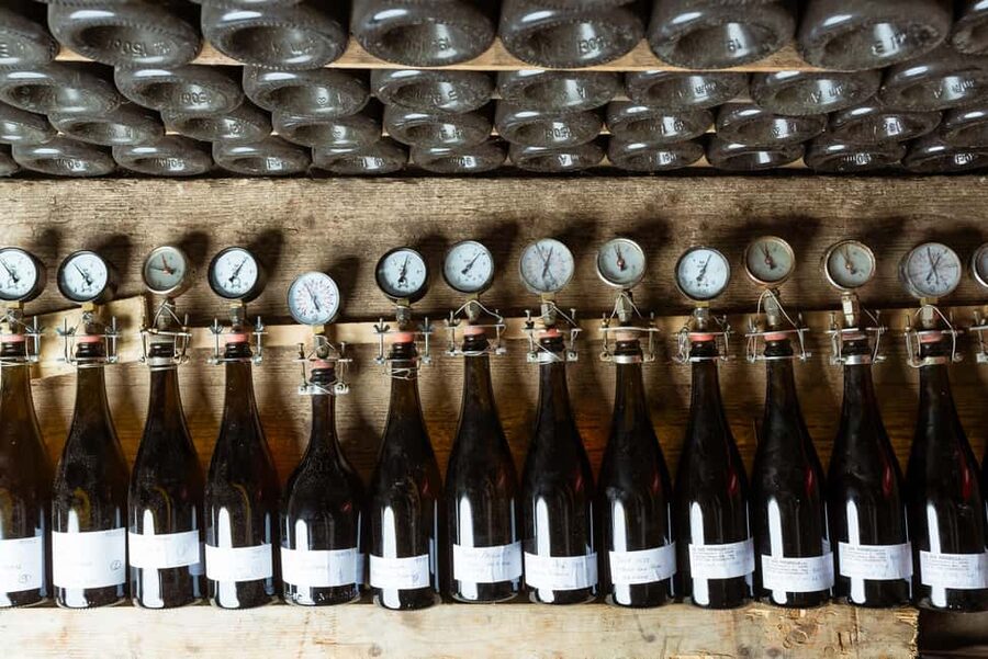 Franciacorta: visit the vineyard, cellar, and enjoy an Edea To tasting - Starting at V. Cantarane, 2