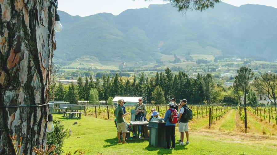 Franschhoek: An enchanting storytelling walk to 3 wine farms - Why this Franschhoek walk feels different