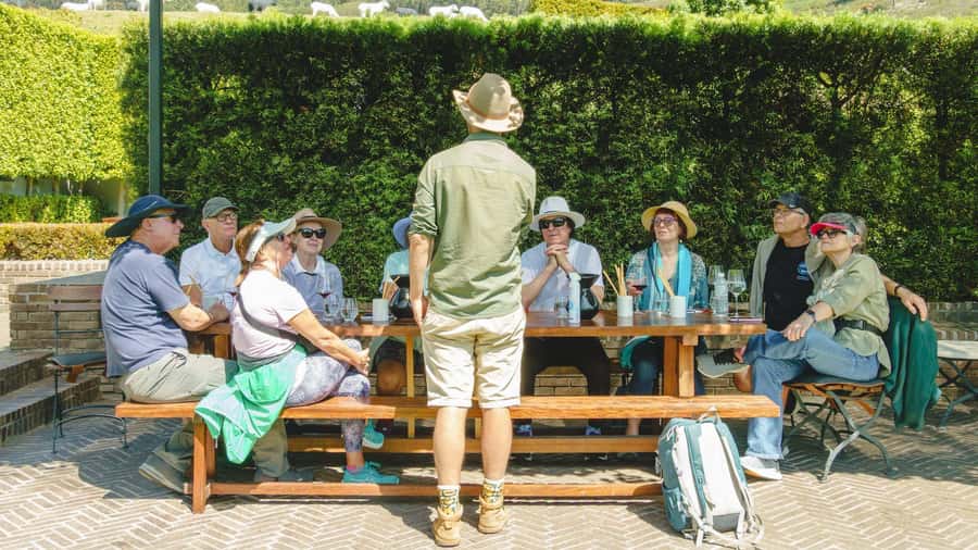 Franschhoek: An enchanting storytelling walk to 3 wine farms - The vineyard paths between estates