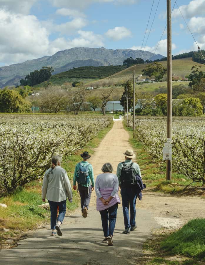 Franschhoek: An enchanting storytelling walk to 3 wine farms - The tuk-tuk ride and La Cotte Heritage Farm