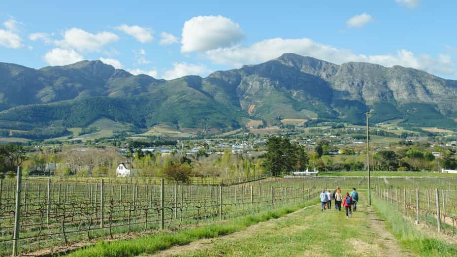 Franschhoek: An enchanting storytelling walk to 3 wine farms - Starting at the Dutch Reformed Church