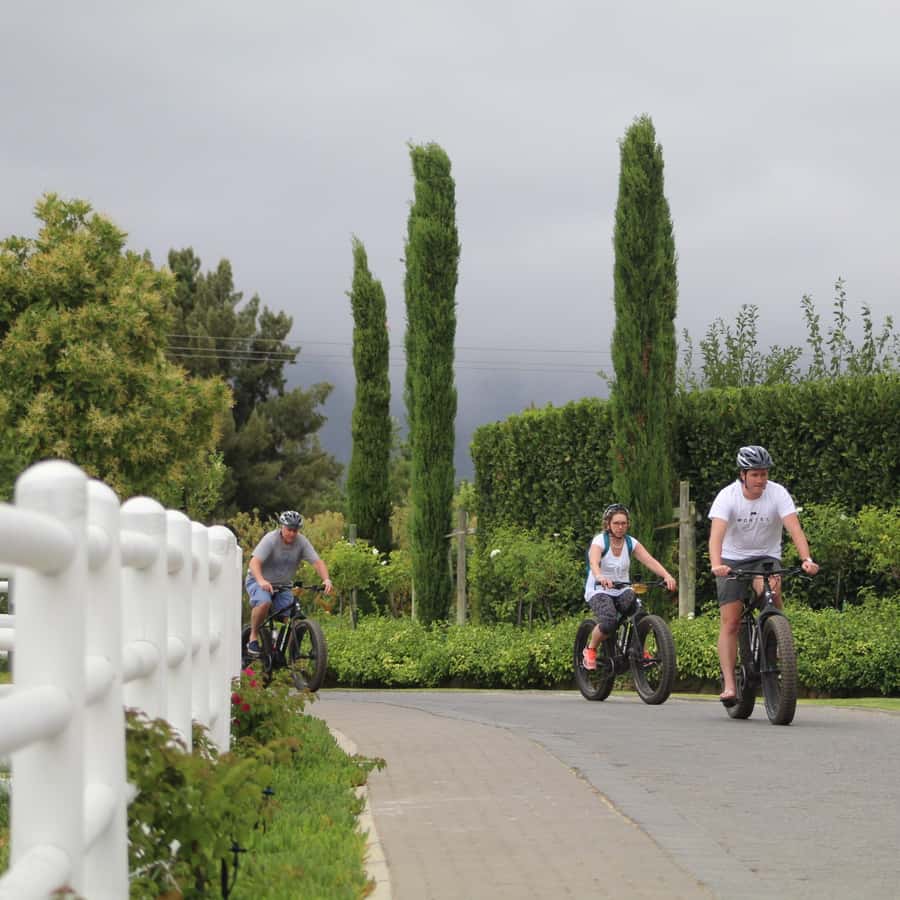 Franschhoek: E-Bike Guided Winery Tour - Why an e-bike is a smart way to see Franschhoek