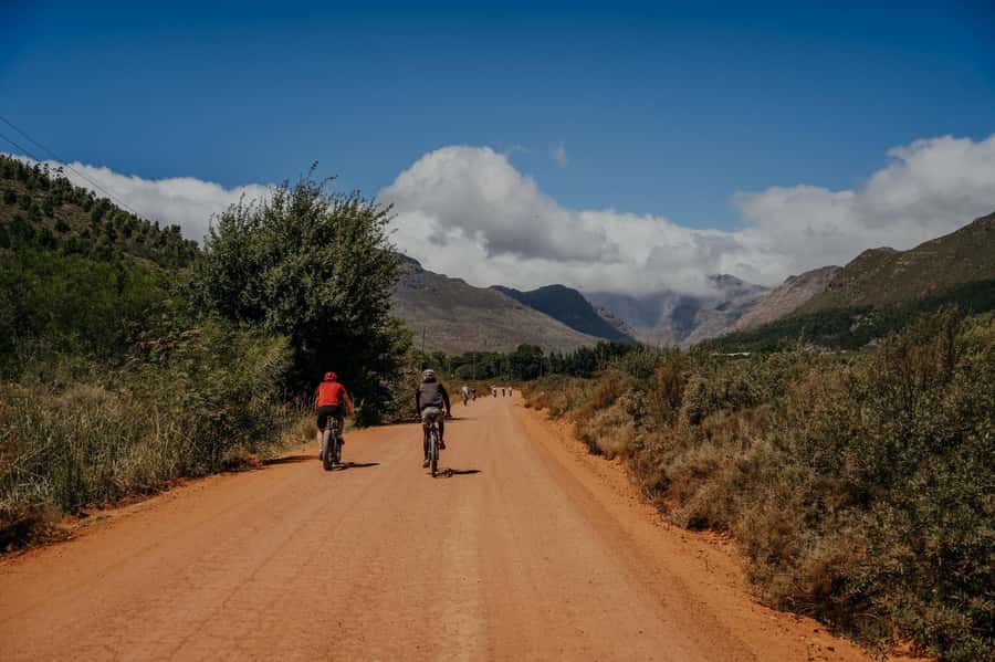 Franschhoek: E-Bike Guided Winery Tour - Who should book, and who should skip it?