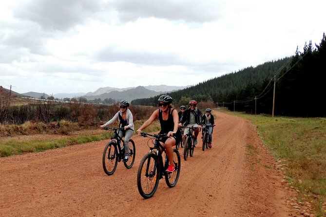 Franschhoek Half Day Winelands Mountain Bike Tour - Key points to know before you book