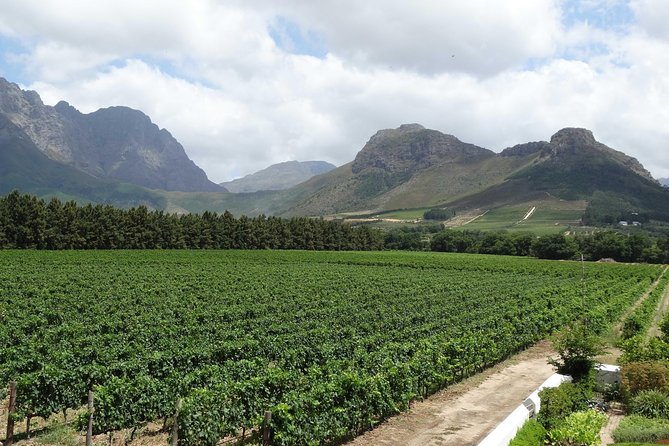Franschhoek Half Day Winelands Mountain Bike Tour - Riding through the Franschhoek Valley