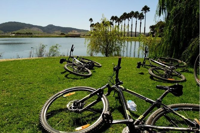 Franschhoek Half Day Winelands Mountain Bike Tour - Rickety Bridge, the first wine stop