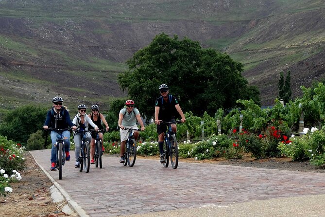 Franschhoek Half Day Winelands Mountain Bike Tour - La Bri and the quieter second tasting