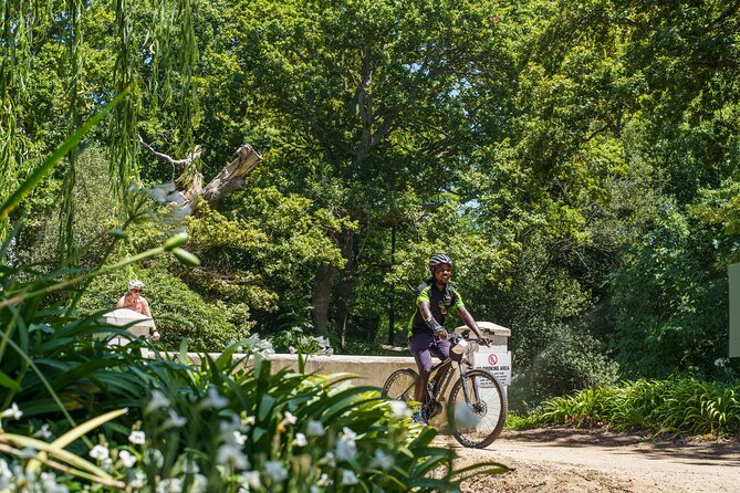 Franschhoek Half Day Winelands Mountain Bike Tour - Why the wine-and-bike combination works