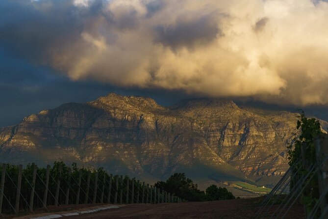 Franschhoek Half Day Winelands Mountain Bike Tour - Meeting point, timing, and transport
