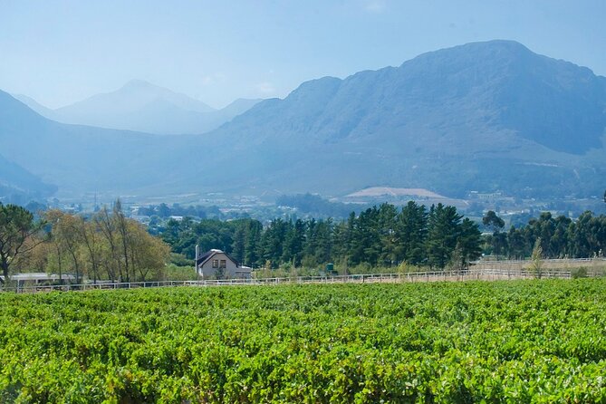 Franschhoek Half Day Winelands Mountain Bike Tour - Who will enjoy this ride most