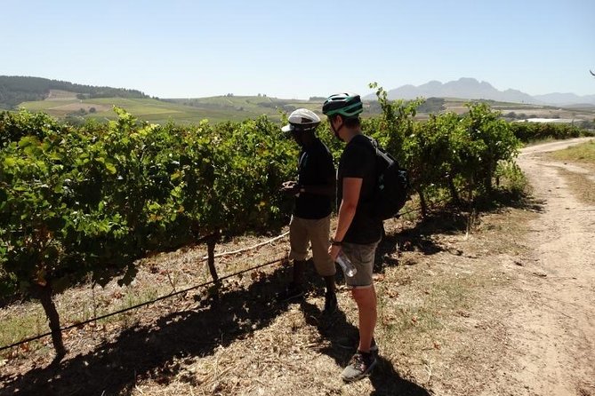 Franschhoek Half Day Winelands Mountain Bike Tour - What the included bike and gear mean