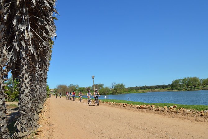 Franschhoek Winelands Luxury EBike Tour - Why an e-bike is a smart way to see Franschhoek