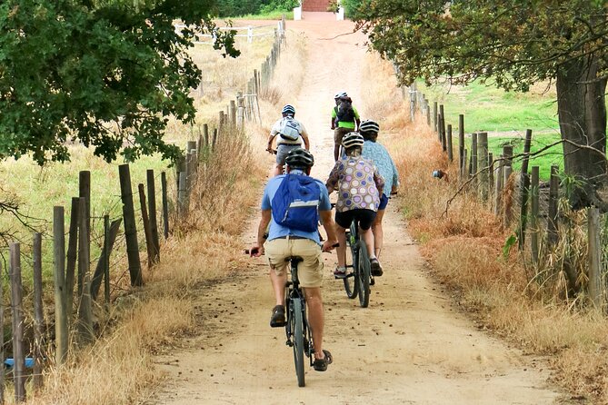 Franschhoek Winelands Luxury EBike Tour - Lunch and tastings make the $152.67 price easier to judge