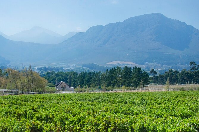 Franschhoek Winelands Luxury EBike Tour - What the guide adds to the day