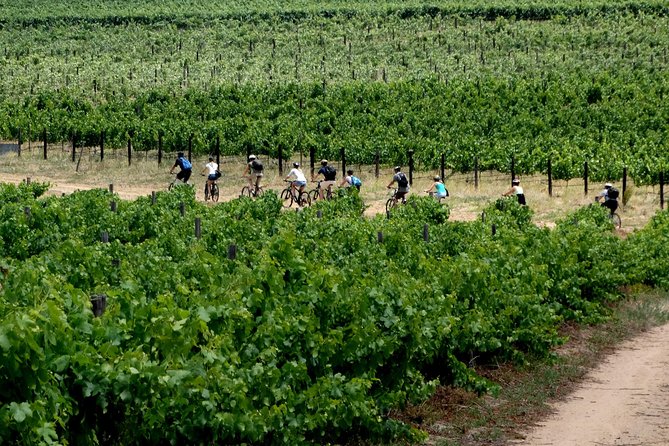 Franschhoek Winelands Luxury EBike Tour - Rickety Bridge starts the tasting day