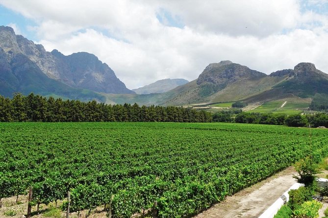 Franschhoek Winelands Meander © - Why cycling works so well in Franschhoek