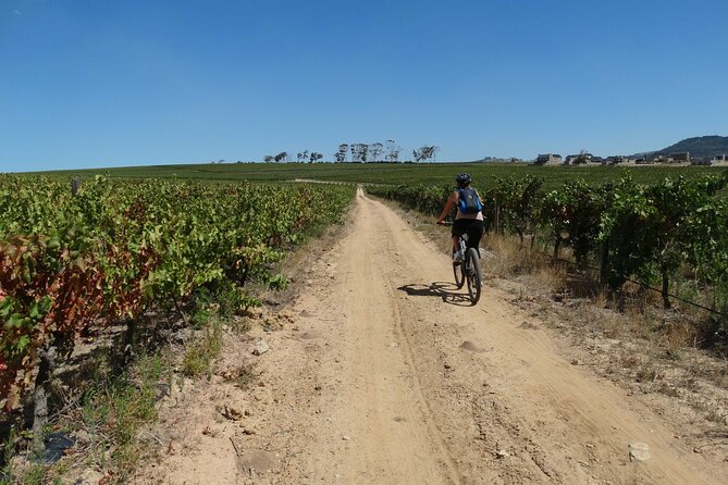 Franschhoek Winelands Meander © - Grand Provence and the broadest views