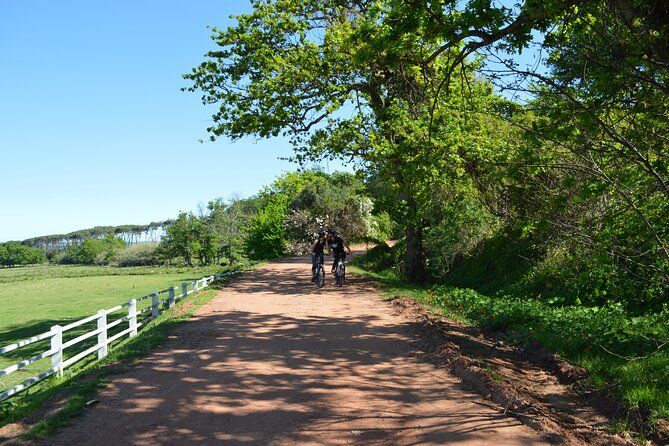 Franschhoek Winelands Meander © - Guides, pace, and the human side of the tour