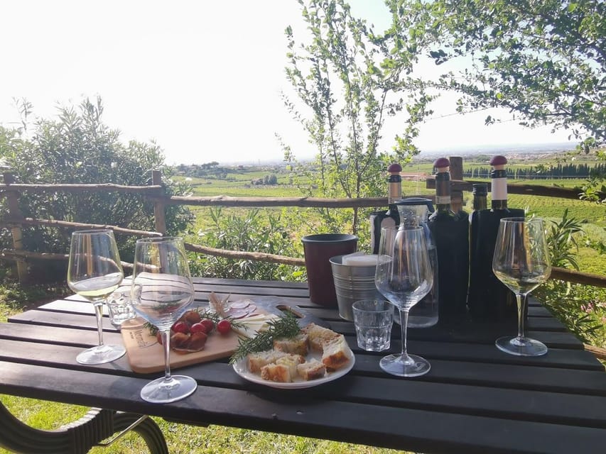 Frascati: 3-Hour Wine and Oil Tasting with Lunch/Dinner - Why Frascati makes a good wine stop from Rome