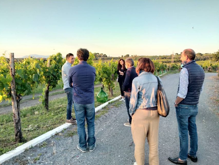 Frascati: 3-Hour Wine and Oil Tasting with Lunch/Dinner - A welcome before the wine