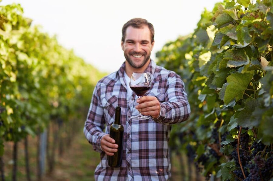 Frascati Private Tour w/ Lunch & Wine Tasting in a Vineyard - Why Frascati Makes a Fine Break From Rome