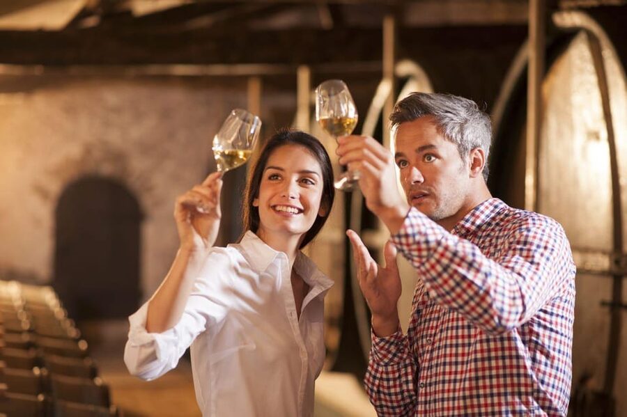 Frascati Private Tour w/ Lunch & Wine Tasting in a Vineyard - Practical Tips Before You Go