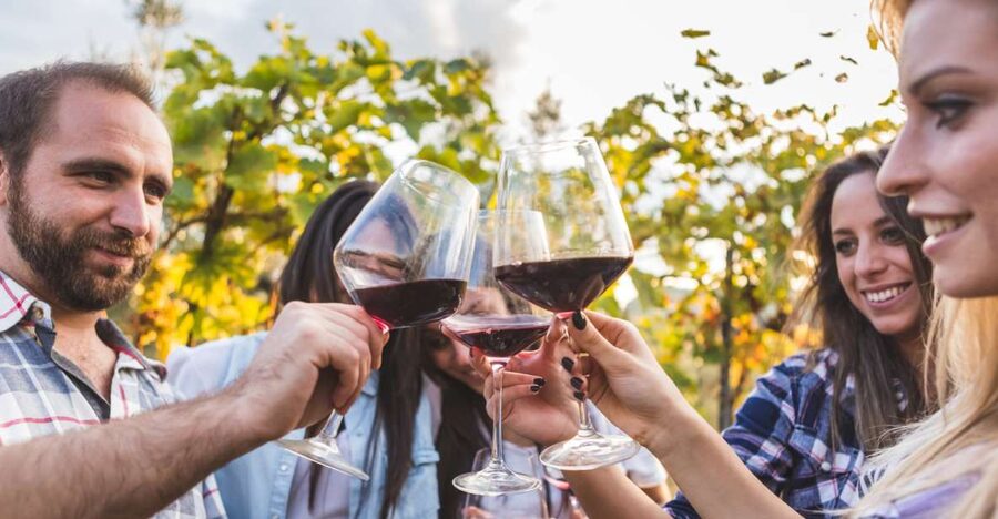 Frascati Private Tour w/ Lunch & Wine Tasting in a Vineyard - Is the $279.81 Price a Good Value?