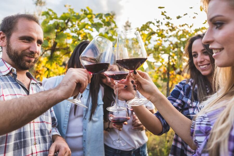 Frascati Private Tour w/ Lunch & Wine Tasting in a Vineyard - Timing, Access, and Who Should Book