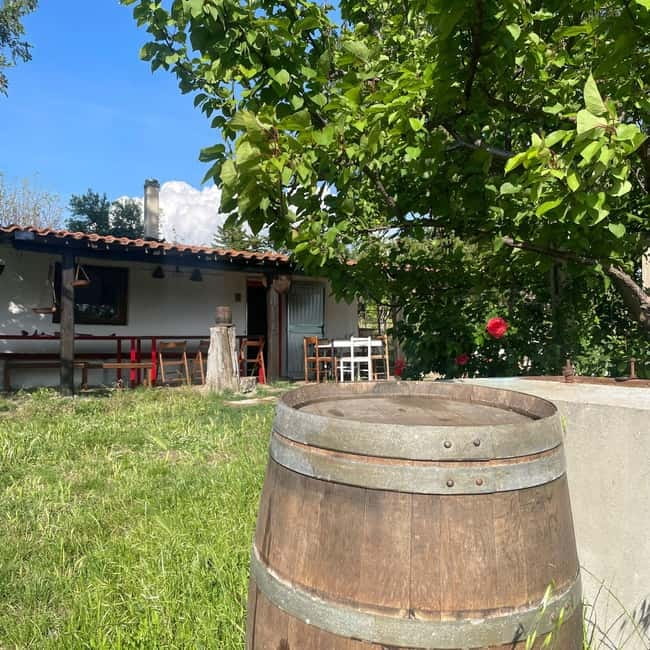 Frascati: Vineyard Wine Tasting Tour with Snacks - The old farmhouse and frascette feeling