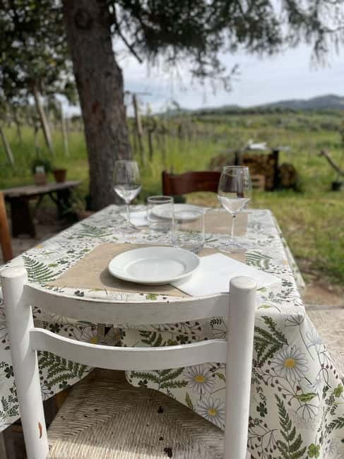 Frascati: Vineyard Wine Tasting Tour with Snacks - Is $65 a fair price?