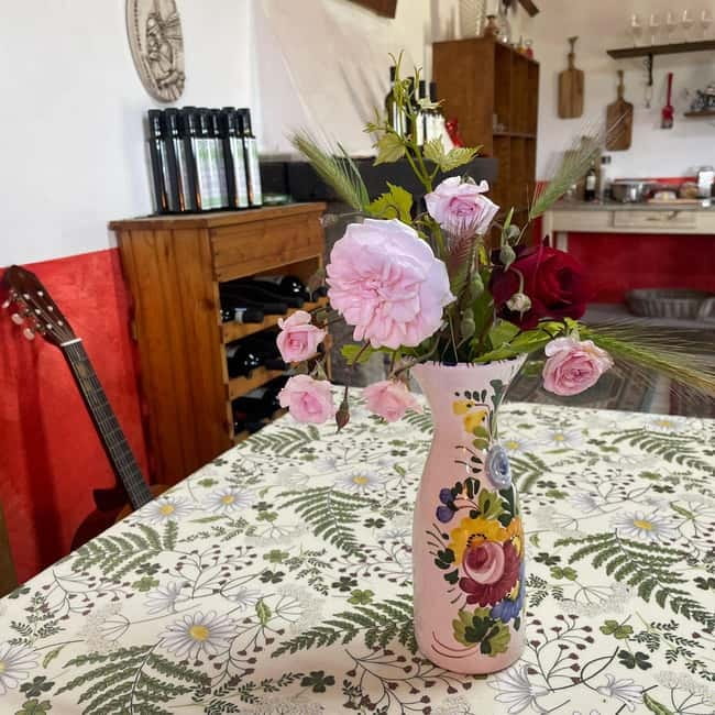 Frascati: Vineyard Wine Tasting Tour with Snacks - Timing, meeting point, and what to bring